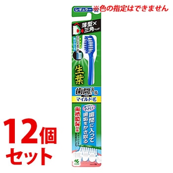 《セット販売》 小林製薬 生葉 歯間に入るブラシ マイルド毛 レギュラー (1本)×12個セット 大人用 ハブラシ 歯ブラシ