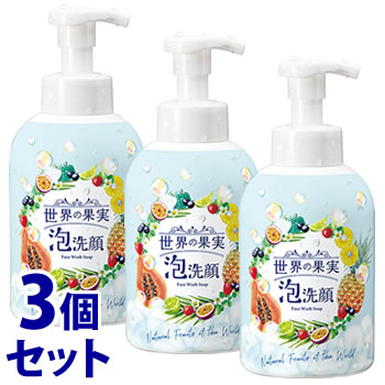 《セット販売》 ウィルミナ 世界の果実 すっきり泡洗顔 (500mL)×3個セット 洗顔フォーム