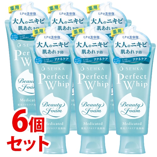 《セット販売》 ファイントゥデイ 洗顔専科 パーフェクトホイップ アクネケア (120g)×6個セット 洗顔フォーム 【医薬部外品】