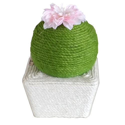 ペットアイ 爪とぎサボテン丸 (1個) 猫用つめとぎ 爪みがき さぼてん