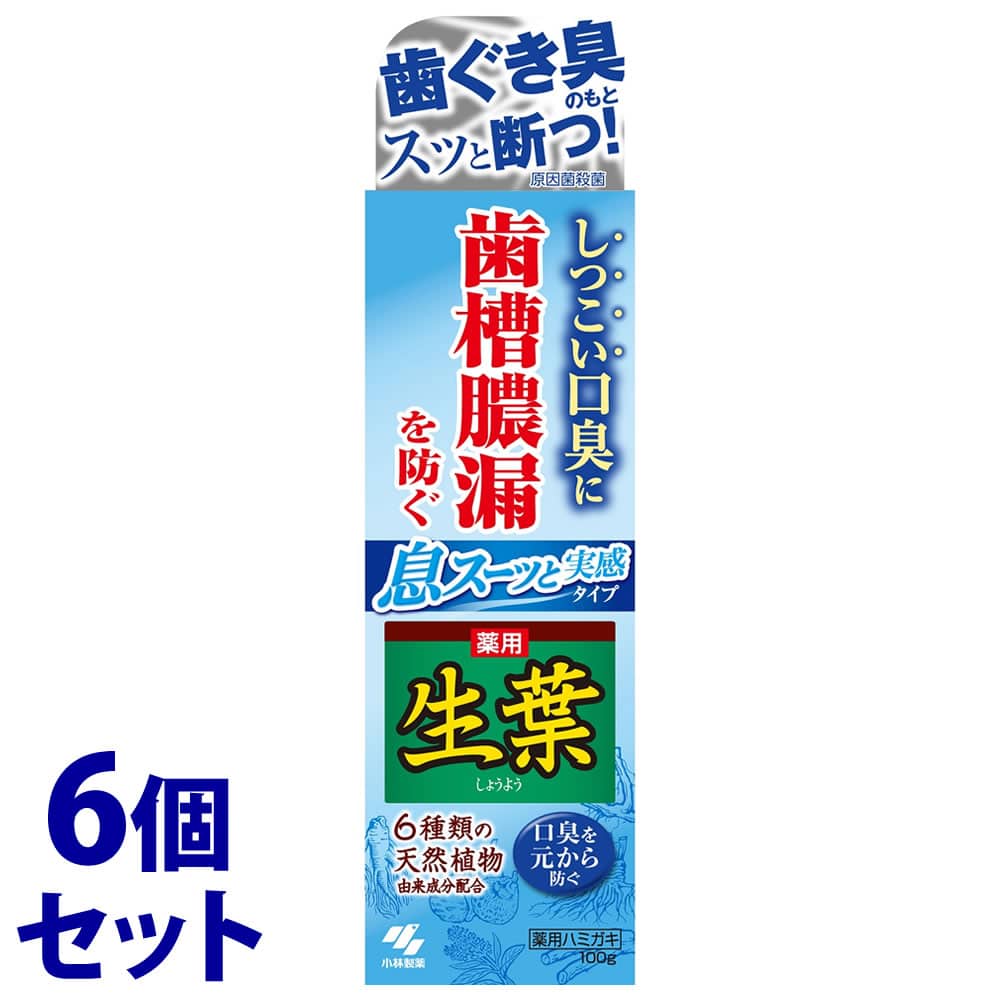 《セット販売》 小林製薬 生葉 息スーッと実感タイプ (100g)×6個セット 薬用ハミガキ粉 口臭防止 【医薬部外品】