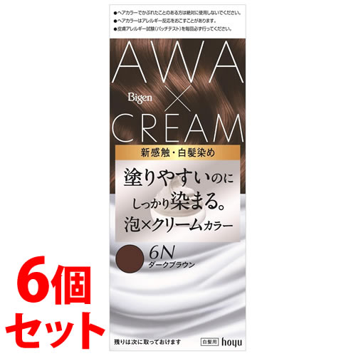 《セット販売》　ホーユー ビゲン 泡クリームカラー 6N ダークブラウン (1個)×6個セット 白髪用 白髪染め　【医薬部外品】