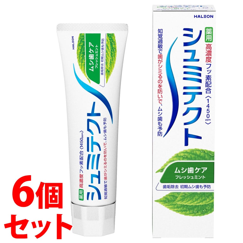 《セット販売》 ヘイリオンジャパン シュミテクト ムシ歯ケア (95g)×6個セット 薬用ハミガキ Haleon 【医薬部外品】