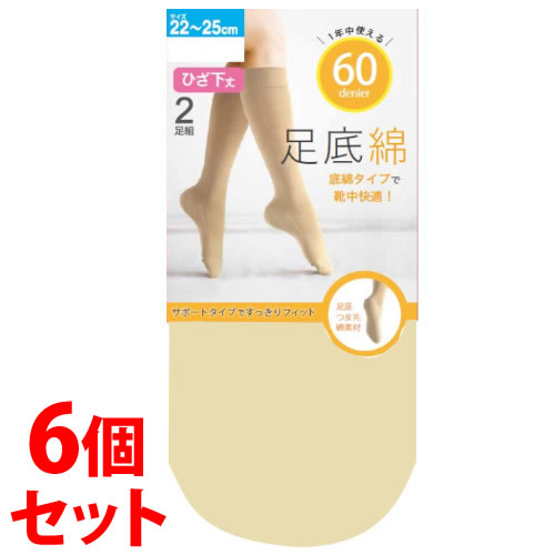《セット販売》 関東ナイロン SHSCT62 60デニール 足底綿ひざ下 22-25cm ベージュ (2足組)×6個セット ひざ下丈 タイツ