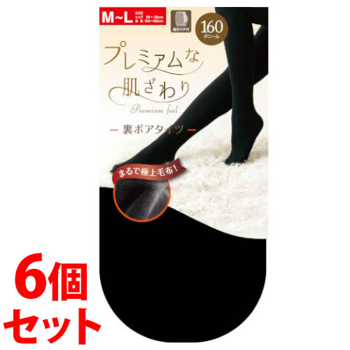 《セット販売》 関東ナイロン PTB100 160デニール ボアタイツ M-L ブラック (1足)×6個セット タイツ