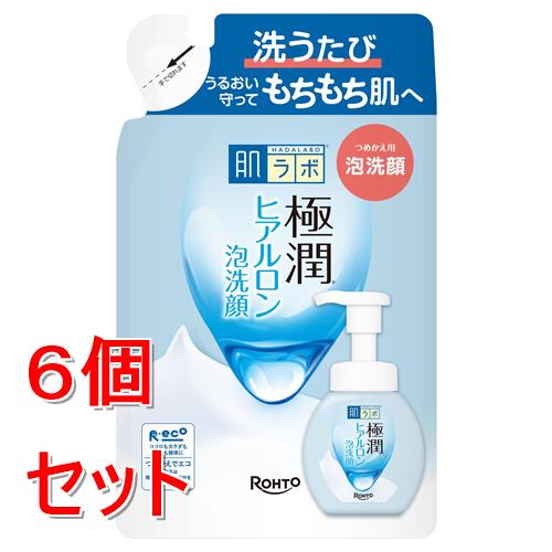 《セット販売》 ロート製薬 肌ラボ 極潤ヒアルロン泡洗顔 つめかえ用 (140mL)×6個セット 洗顔料 うるおい 詰替え クレンジング
