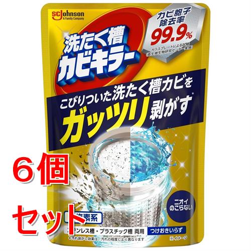 《セット販売》 ジョンソン ガッツリ剥がす洗たく槽カビキラー　(250g)×6個セット 洗剤カス 汚れ ヌメリ 雑菌