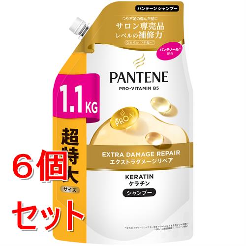 《セット販売》 P&G パンテーン　エクストラダメージリペア　シャンプー　つめかえ超特大　1100mL×6個セット