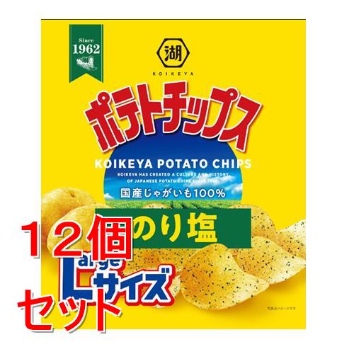 《セット販売》 湖池屋 湖池屋　Large　ポテトチップスのり塩×12個セット※軽減税率対象商品