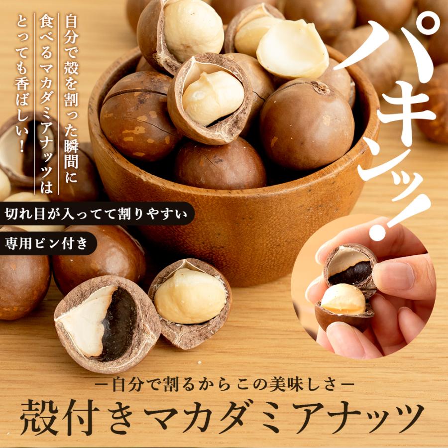 殻付きマカダミアナッツ 素焼き 300g