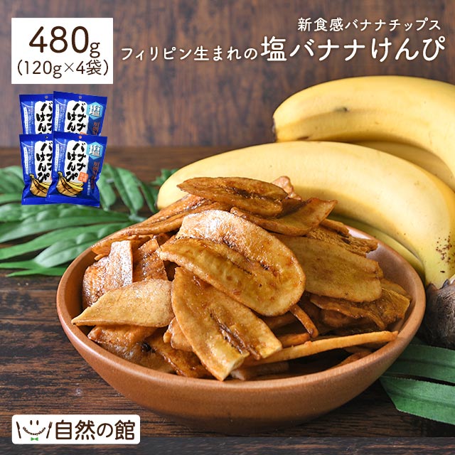 おつまみ 塩バナナけんぴ 120g×4袋 送料無料 バナナチップス 縦切り けんぴ お菓子 メガ盛り