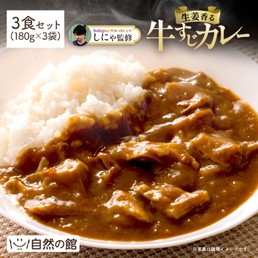生姜香るとろける牛すじカレー 180g×3袋 インスタグラム 人気インフルエンサー【しにゃさん】 コラボ レトルト スパイス 非常食 保存食 レトルト