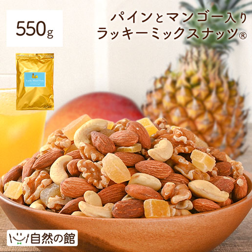 パインとマンゴー入りミックスナッツ 550g 送料無料 無塩 ロカボ トレイルミックス 非常食 訳あり ミックスナッツ　パイン　マンゴー