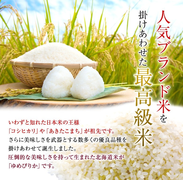 新米 20kg 令和6年産 北海道産 ゆめぴりか 産地直送 白米 精米 コメ お米 特A受賞 上士別 水留農場 送料無料: 北海道の第一北海丸｜ANA  Mall｜マイルが貯まる・使えるショッピングモール