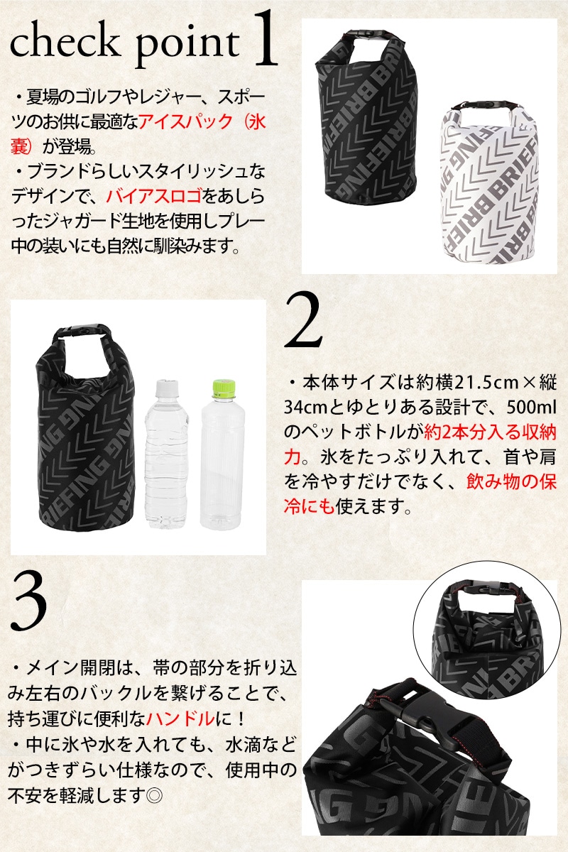 ブリーフィング バッグ 氷嚢 バッグ型 アイスバッグ 保冷バッグ 手提げ