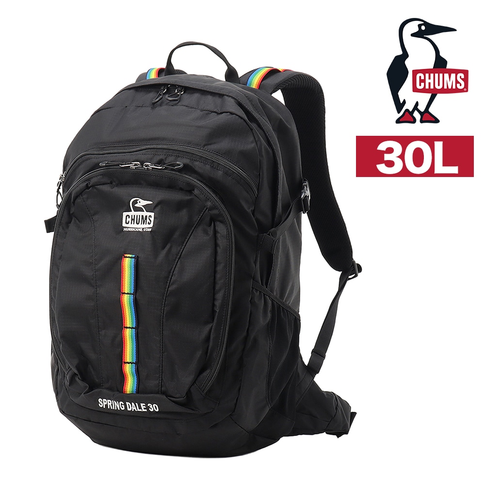 チャムス バッグ リュック バックパック ザックパック 登山 CHUMS スプリングデール30 30L B4 A4 CH60-3998 メンズ レディース 送料無料 誕生日プレゼント ギフト ラッピング無料 正規代理店 ブラックxレインボー -603998k042