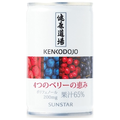 サンスター 健康道場 4つのベリーの恵み 160g缶×30本入×(2ケース)