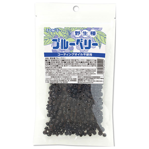 東洋ナッツ 野生種 ブルーベリー 110g×10袋入×(2ケース)