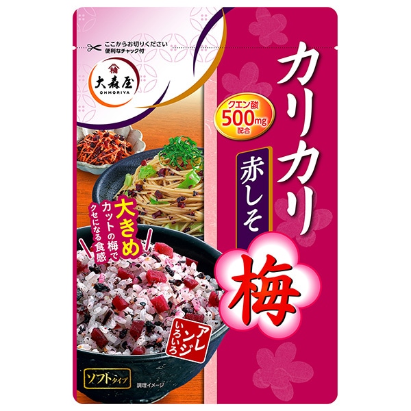 大森屋 カリカリ梅赤しそ 40g×10袋入×(2ケース)