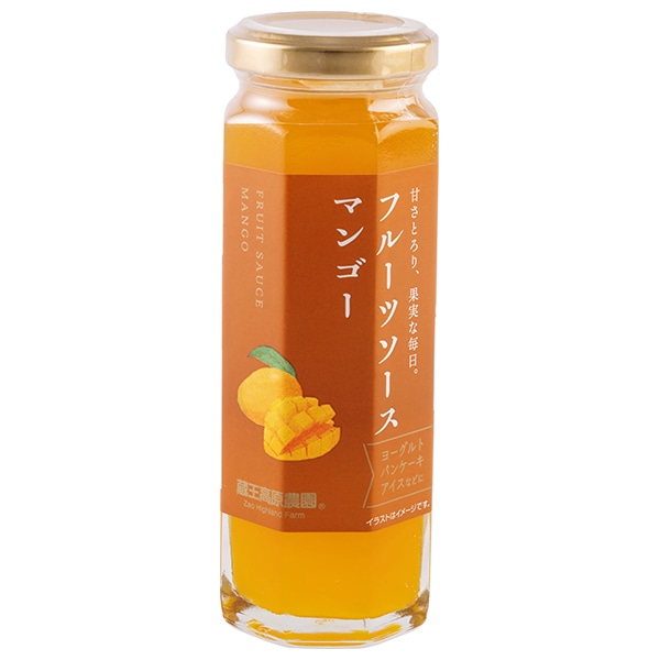 和歌山産業 フルーツソース マンゴー 160g×12本入×(2ケース)