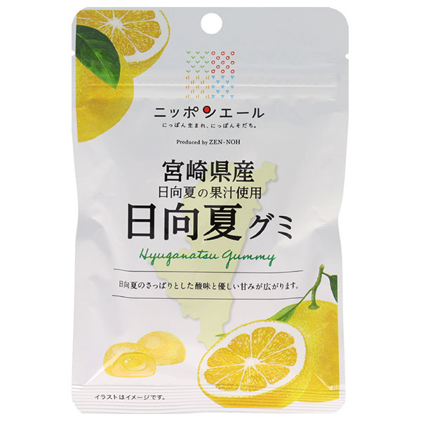 JA全農 ニッポンエール 宮崎県産日向夏 グミ 40g×10袋入