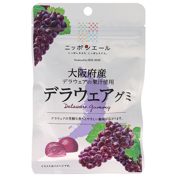 JA全農 ニッポンエール 大阪府産デラウェア グミ 40g×10袋入×(2ケース)
