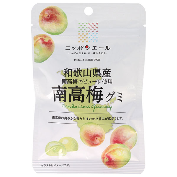 JA全農 ニッポンエール 和歌山県産南高梅 グミ 40g×10袋入