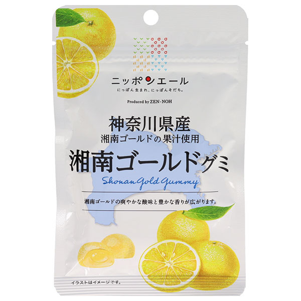 JA全農 ニッポンエール 神奈川県産湘南ゴールド グミ 40g×10袋入