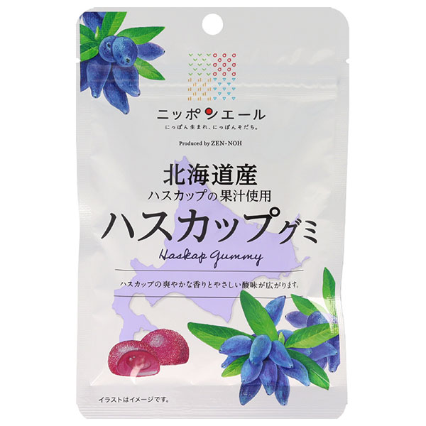 JA全農 ニッポンエール 北海道ハスカップ グミ 40g×10袋入