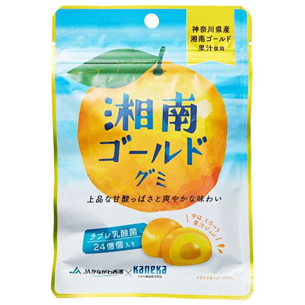 カネカ食品 湘南ゴールドグミ ラブレ乳酸菌入 40g×10袋入×(2ケース)