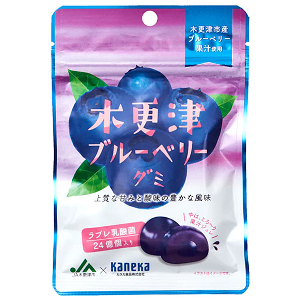 カネカ食品 木更津ブルーベリーグミ ラブレ乳酸菌入 40g×10袋入