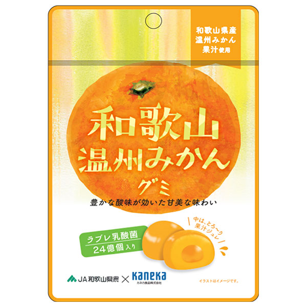 カネカ食品 和歌山温州みかんグミ ラブレ乳酸菌入 40g×10袋入×(2ケース)