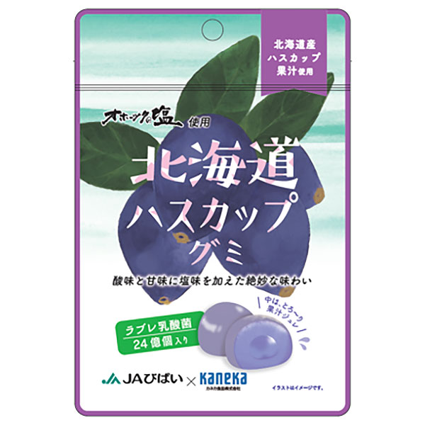 カネカ食品 北海道ハスカップグミ ラブレ乳酸菌入 40g×10袋入