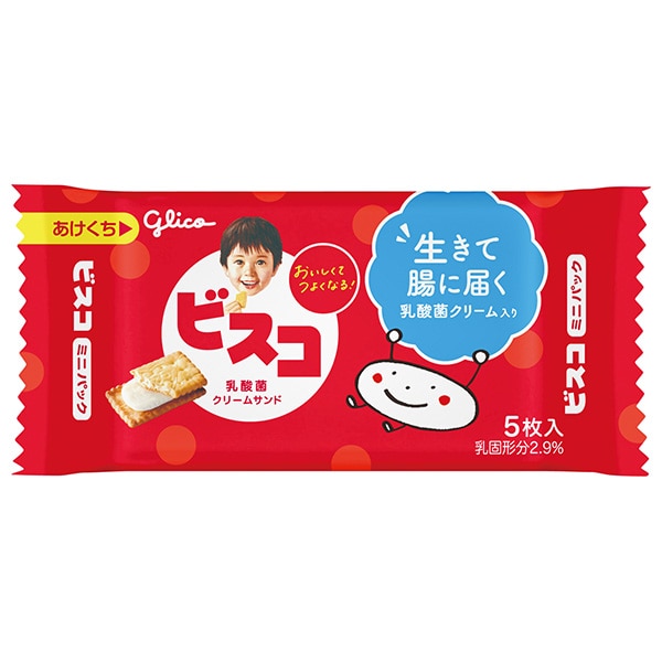 グリコ SUNAO(スナオ) チョコチップ＆発酵バター 62g×5箱入×(2ケース): 飲料 食品専門店 味園サポート｜ANA  Mall｜マイルが貯まる・使えるショッピングモール