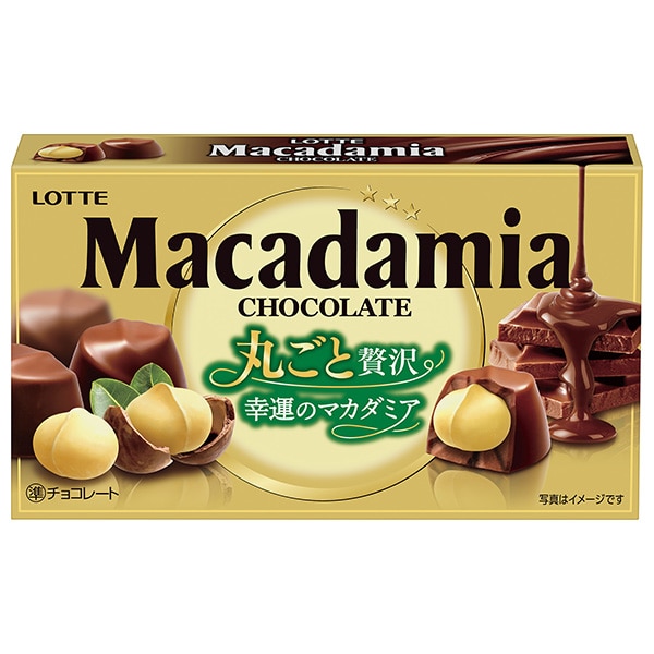 ロッテ マカダミアチョコレート 9粒×10箱入×(2ケース)