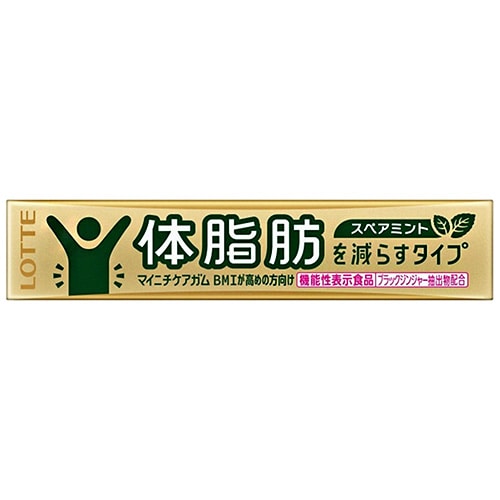 ロッテ マイニチケアガム 体脂肪を減らすタイプ【機能性表示食品】 14粒×20個入×(2ケース)