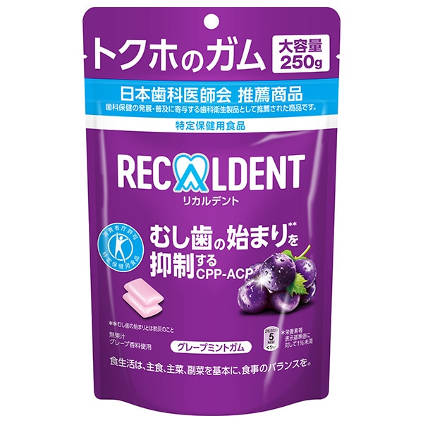 モンデリーズ・ジャパン リカルデント グレープミントガム スタンドパウチ【特定保健用食品 特保】 250g×6個入×(2ケース)