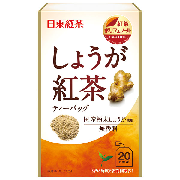 三井農林 日東紅茶 しょうが紅茶 2.2g×20袋×48袋入