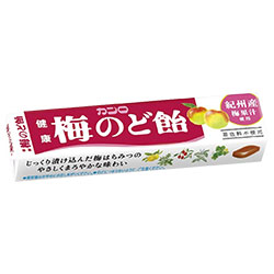 カンロ 健康のど飴 梅 スティックタイプ 11粒×10個入