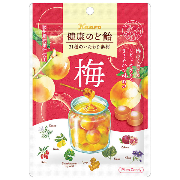 ネコポス カンロ 健康のど飴 梅 90g×6袋入