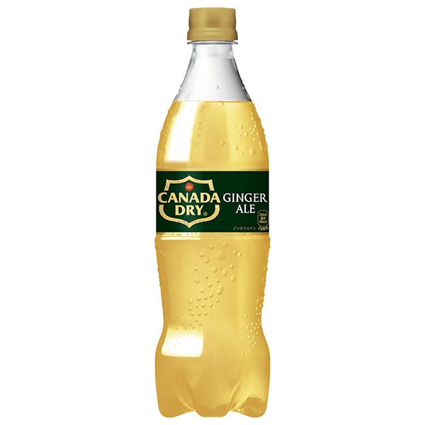 コカコーラ カナダドライ ジンジャーエール 700mlペットボトル×20本入×(2ケース)