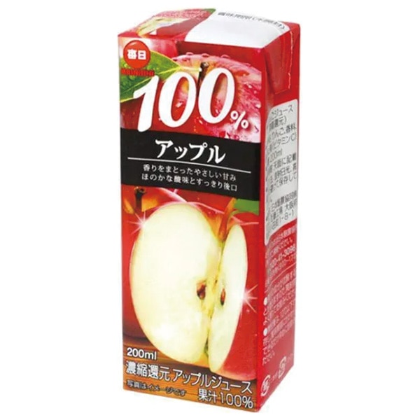 毎日牛乳 毎日 100%アップル 200ml紙パック×24本入×(2ケース)