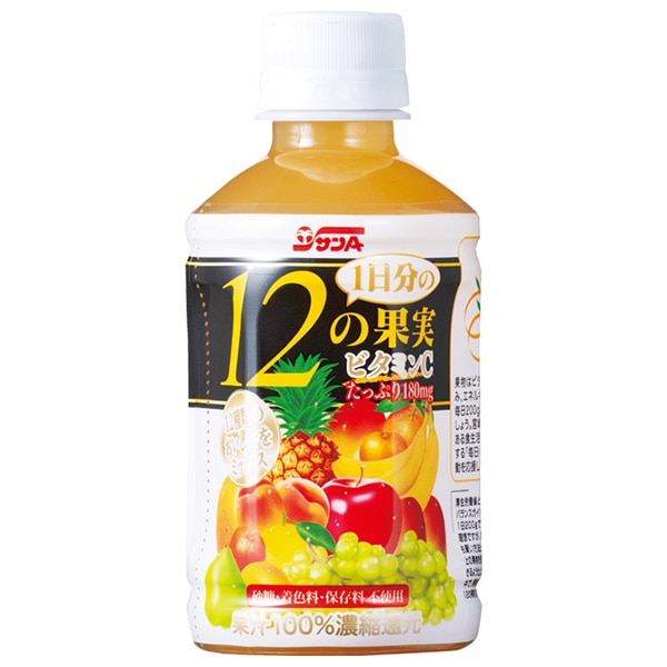 サンA 1日分の12の果実 240mlペットボトル×24本入×(2ケース)