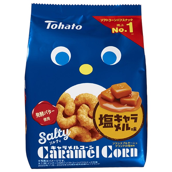 東ハト ソルティ キャラメルコーン 67g×12袋入 メーカー 問屋直送
