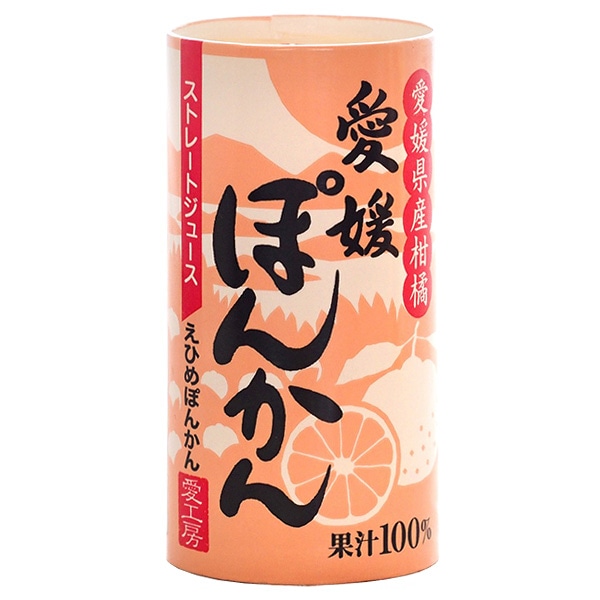 愛工房 愛媛ぽんかん 125mlカートカン×30本入×(2ケース)