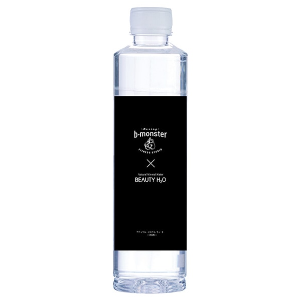 日本ビール BEAUTY H2O×b monster 500mlペットボトル×24本入