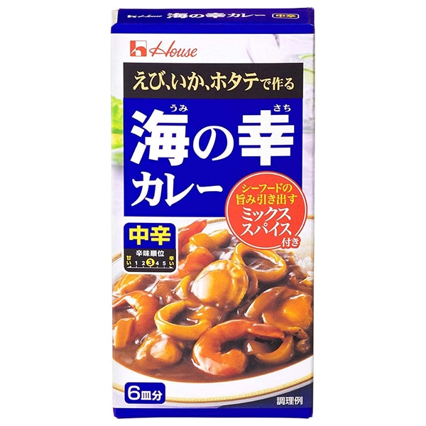 ハウス食品 海の幸カレー 中辛 120g×10個入×(2ケース)