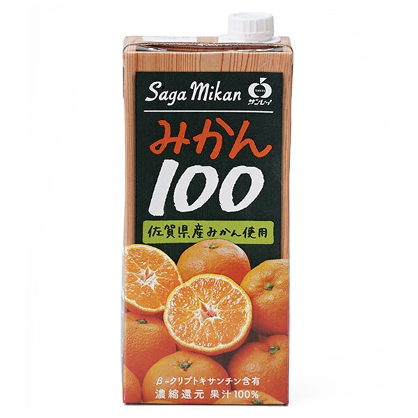 JAビバレッジ佐賀 みかん100 1L紙パック×6本入×(2ケース)