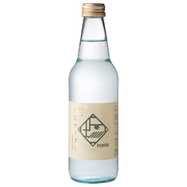 Ante(アンテ) 奥能登地サイダー しおサイダー 340ml瓶×24本入×(2ケース)