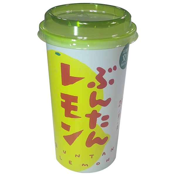 高知アイス ぶんたんレモン 200ml×12本入